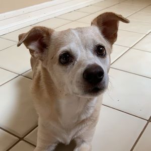 Meet your Posher, Steph